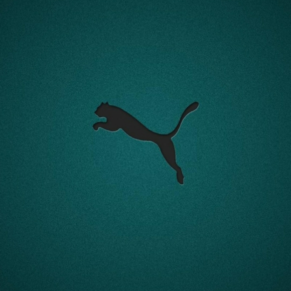 Puma Hoodie Size: XL Thermal Cell Sweatshirt With Pockets Blue Coral NWT - Picture 11 of 13